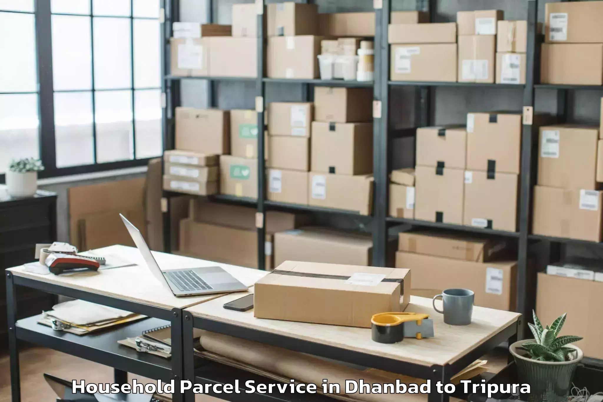 Hassle-Free Dhanbad to Manu Bazar Household Parcel